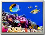 TFT 显示器 & 附件 10.4" XGA TFT LCD 1024x768, 1300cd/m2
