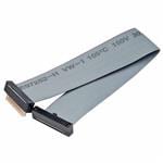 扁平数据线/ IDC数据线 5+5P DIL IDC FMtoML 300MM, CBLE ASSY