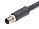 传感器电缆/致动器电缆 M12 Single-Ended Cordset 4 Poles Male to Pigtail 14 AWG Black 2.0m Lngth