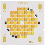 CTM-22-5022-90-36-TW01