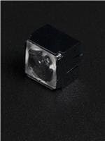 CP15304_LARISA-RS-PIN