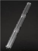 F14468_FLORENCE-1R-Z60