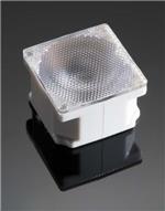 CA10554_ROSE-HLD-RE-WHT