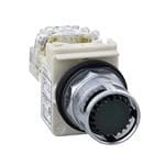 输入设备 PSH BTTN 600VAC 10A 30MM, Type K