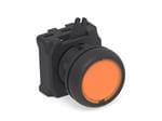 按钮开关 ILLUM. PUSH BUTTON FLUSH ORANGE