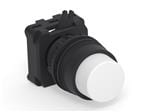 按钮开关 ILLUM. PUSH BUTTON EXTENDED WHITE
